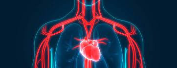 Coenzyme Q10