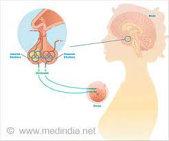 Prolaktinemia