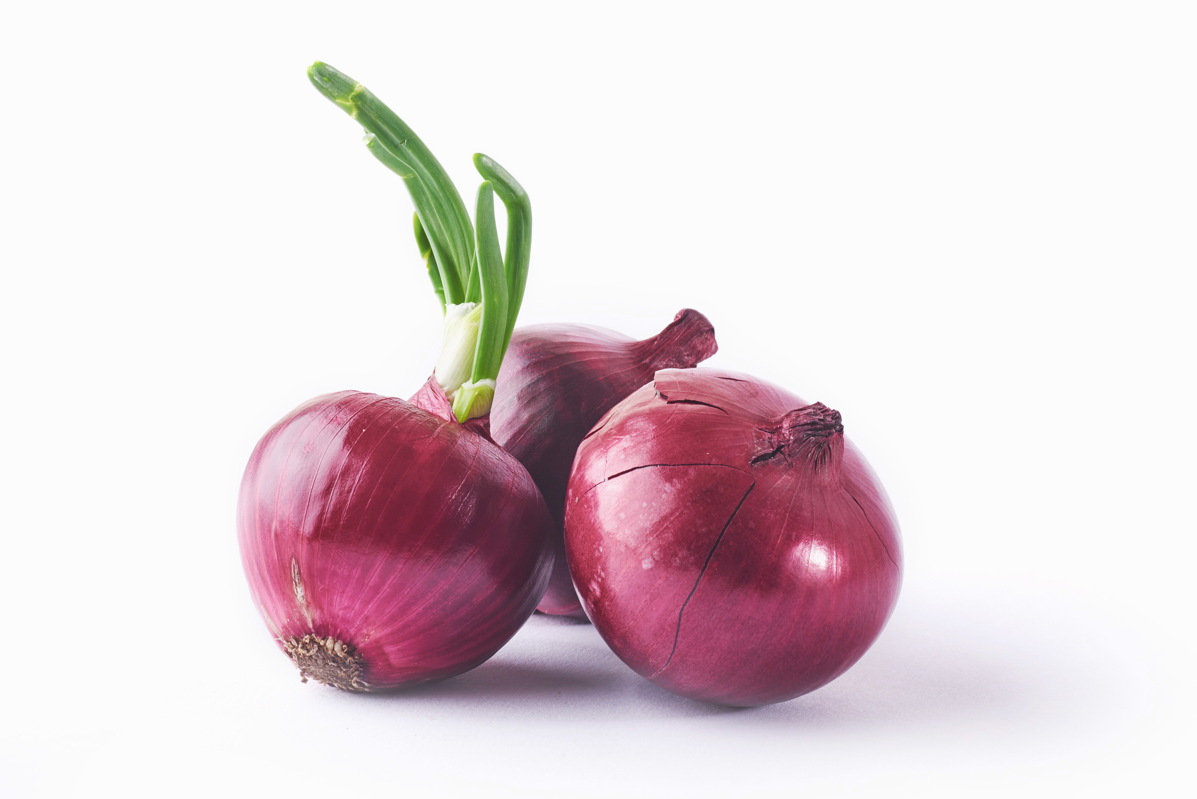 Efektifkah Meredakan Batuk dengan Membungkus Kaki Menggunakan Bawang Merah?