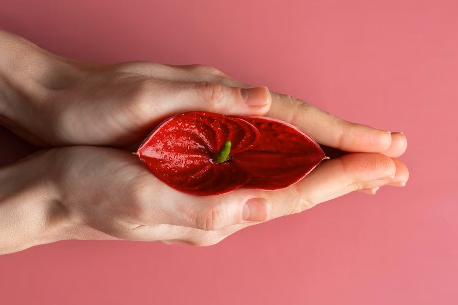 Muncul Benjolan dalam Vagina, Berbahayakah?
