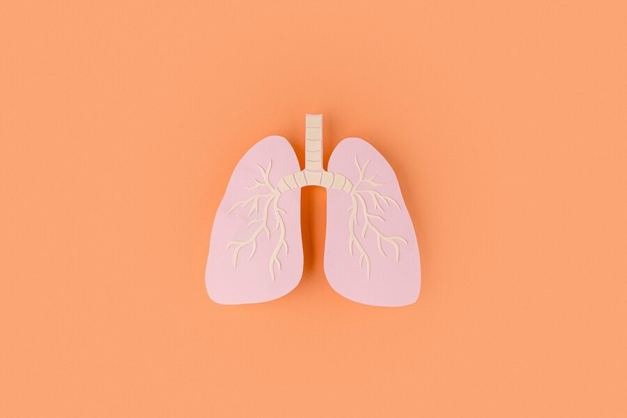 Bagaimana Double Pneumonia bisa Terjadi?