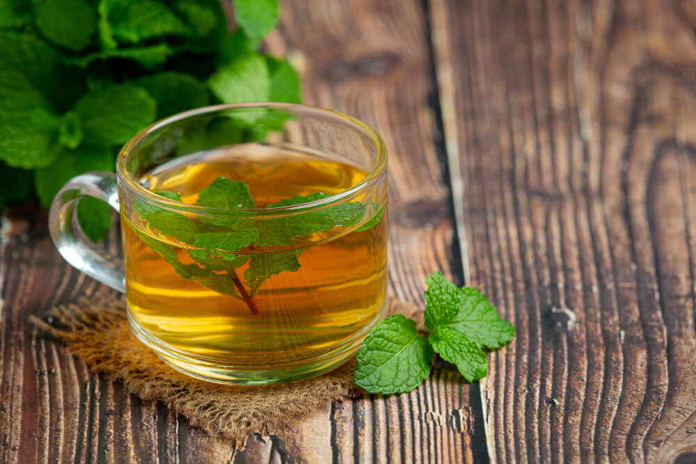 Manfaat Spearmint Tea bagi Kesehatan